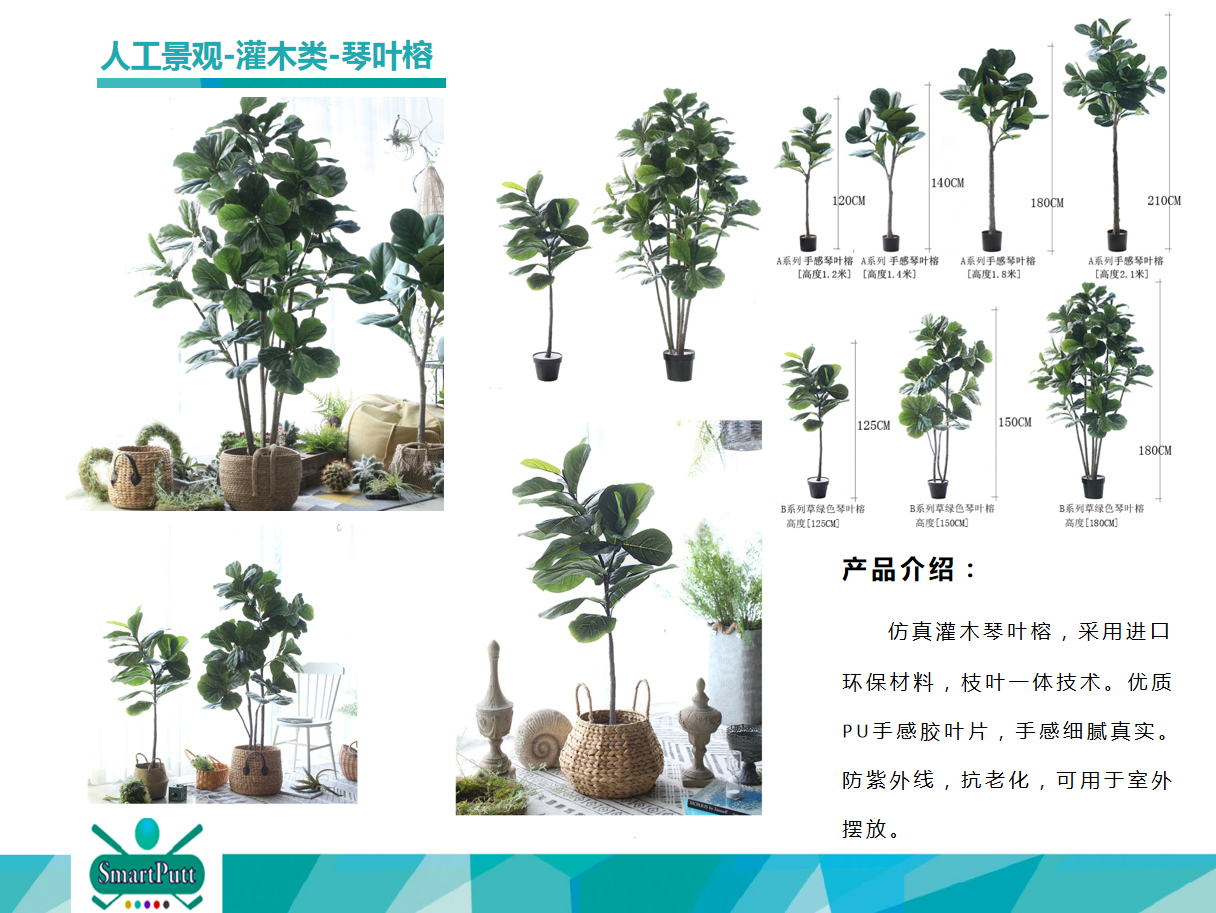 智擊體育
