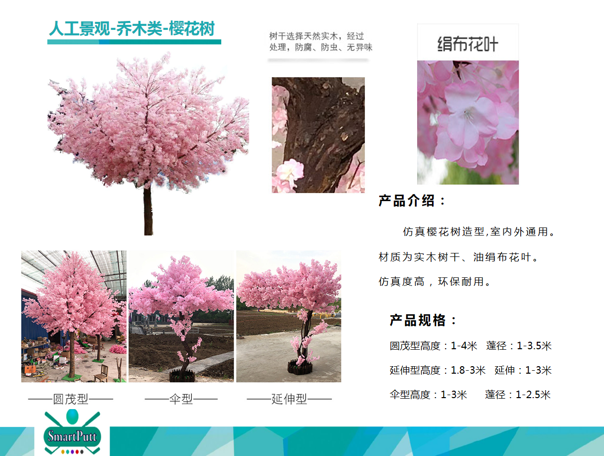 智擊體育