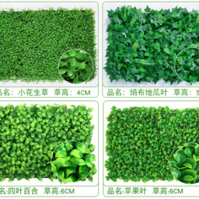 草本類-植物墻
